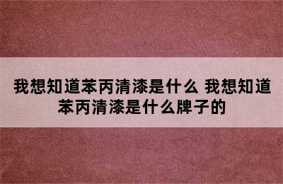 我想知道苯丙清漆是什么 我想知道苯丙清漆是什么牌子的